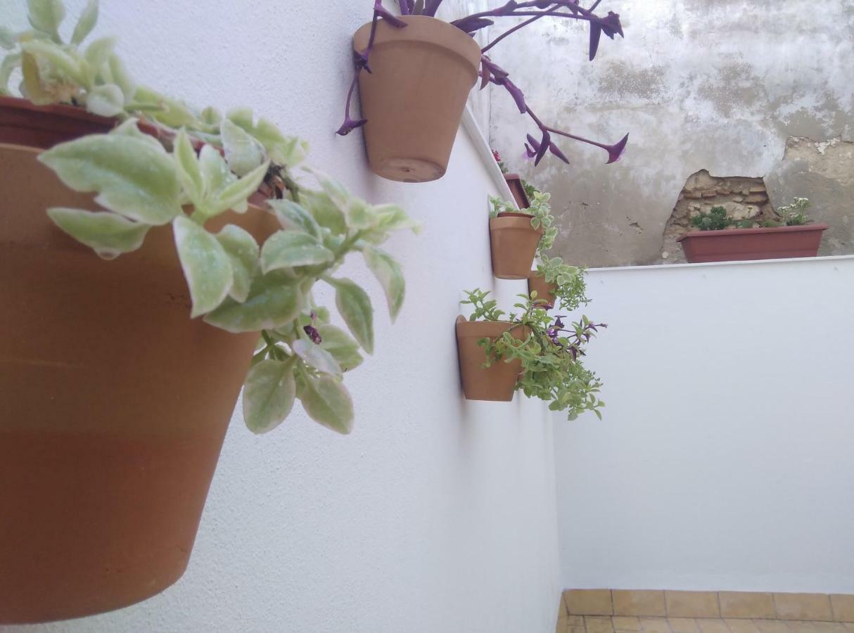 Appartement Palo Cortao *